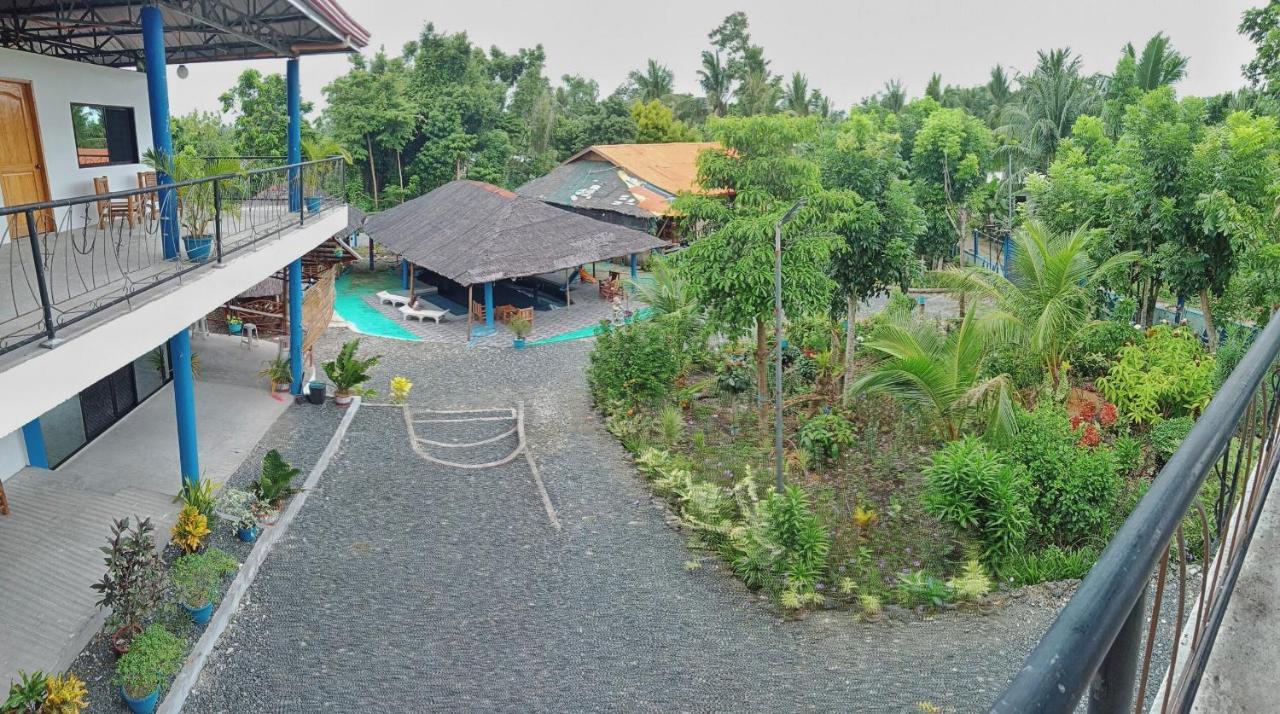 Happy Bear Moalboal Budget Rooms Bagian luar foto