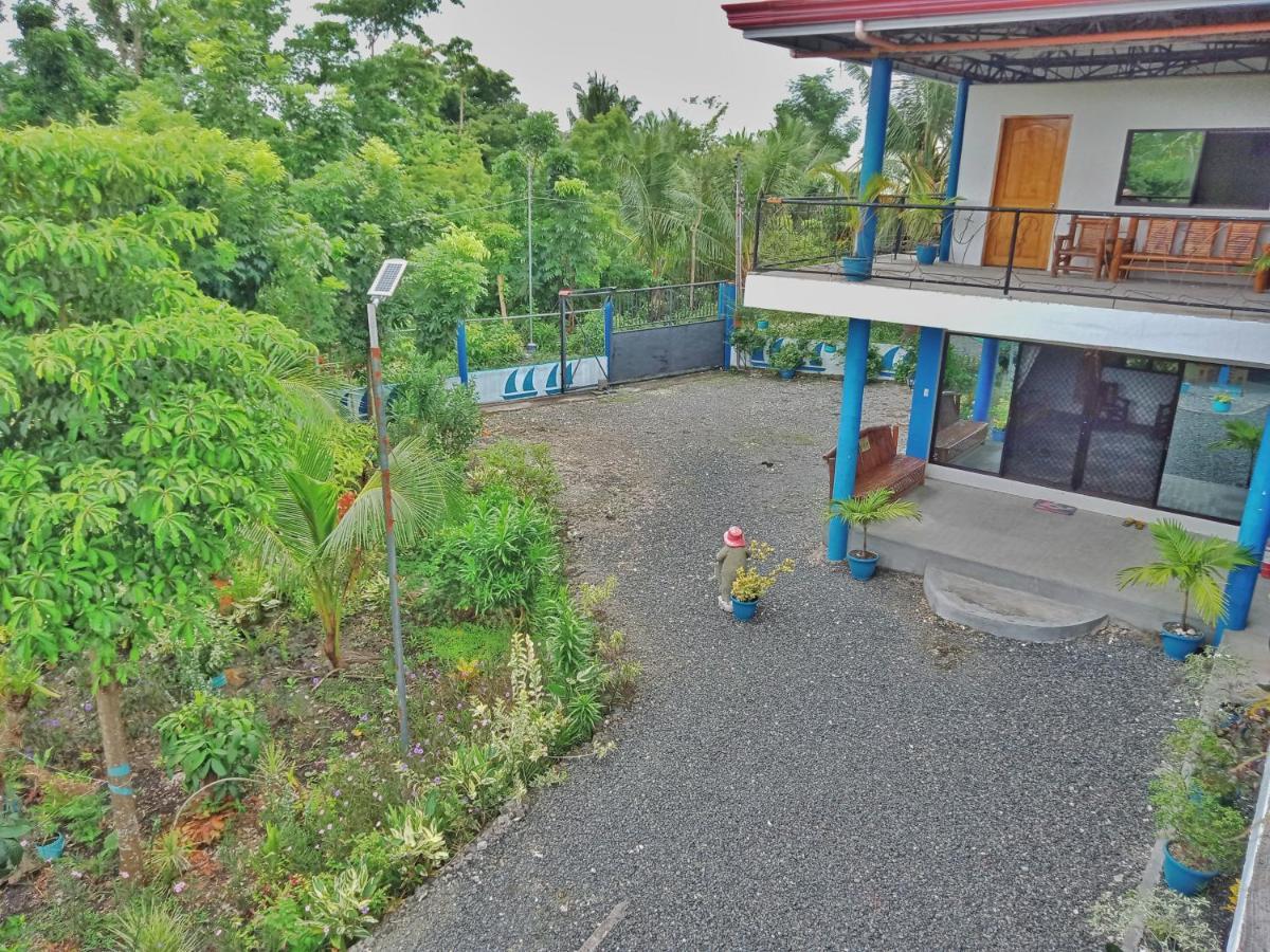 Happy Bear Moalboal Budget Rooms Bagian luar foto