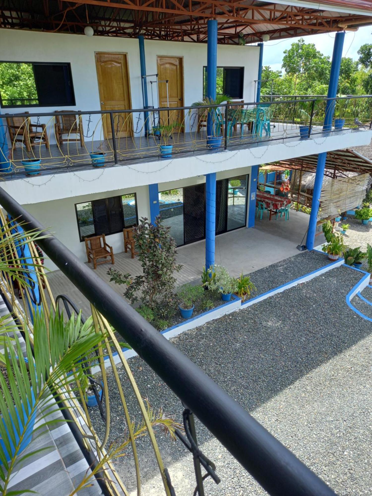 Happy Bear Moalboal Budget Rooms Bagian luar foto